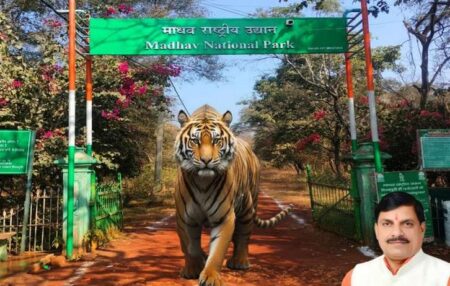 INTERNATIONAL TIGER DAY - KHABER AAJ KI