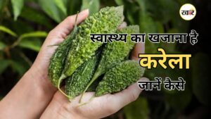 स्वास्थ्य का खजाना है करेला