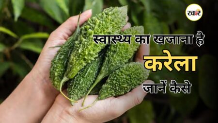 स्वास्थ्य का खजाना है करेला