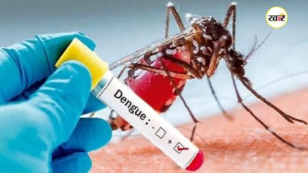 डेंगू का कहर! हर 24 घंटे में एक मरीज की मौत