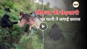 गोरिल्ला की मस्ती पर पत्नी ने बरसाए थप्पड़