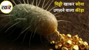 बैक्टीरिया सोना कैसे बनाता है? KHABER AAJ KI