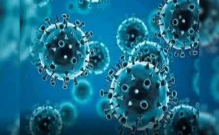 Indore Covid cases surge 2025