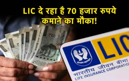LIC ने बदला खेल ! देखें किस सेक्टर में लगाया बड़ा पैसा