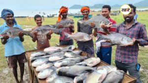 मछली पालन को भी अधिक बढ़ावा