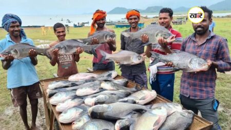 मछली पालन को भी अधिक बढ़ावा