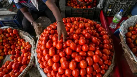 टमाटर के दाम ने छू आसमान, आम जनता की जेब खाली, किसानों की आय में हुई बढ़ोतरी महंगे टमाटर से आम खरीददार परेशान