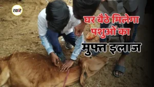 छत्तीसगढ़ में मुफ्त पशु चिकित्सा सेवा