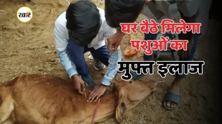 छत्तीसगढ़ में मुफ्त पशु चिकित्सा सेवा