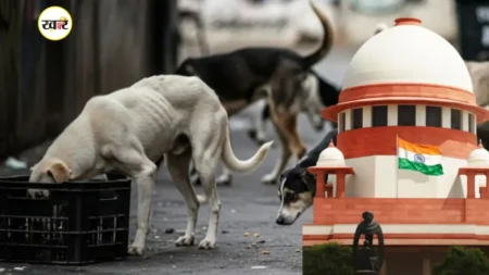 सुप्रीम कोर्ट का बड़ा फैसला, आवारा कुत्तों पर बनेगी राष्ट्रीय नीति, डॉग लवर और NGO को अब देना होगा शुल्क सुप्रीम कोर्ट का बड़ा फैसला, आवारा कुत्तों पर बनेगी राष्ट्रीय नीति, डॉग लवर और NGO को अब देना होगा शुल्क