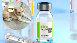 डॉग बाइट मामलों के बीच रेबीज वैक्सीन पर नकली होने का शक
