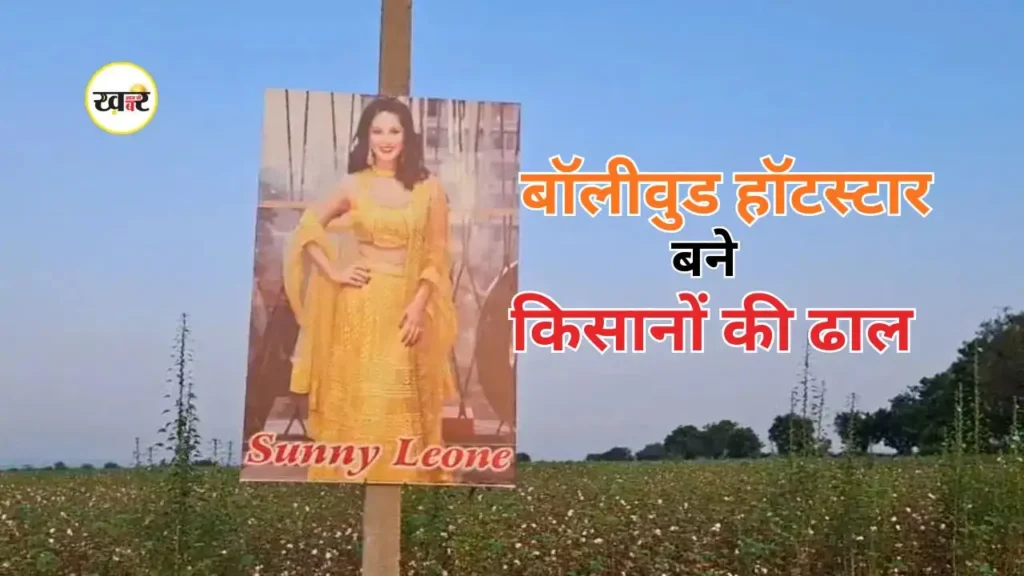 सनी लियोनी के पोस्टर से खेतों की रक्षा