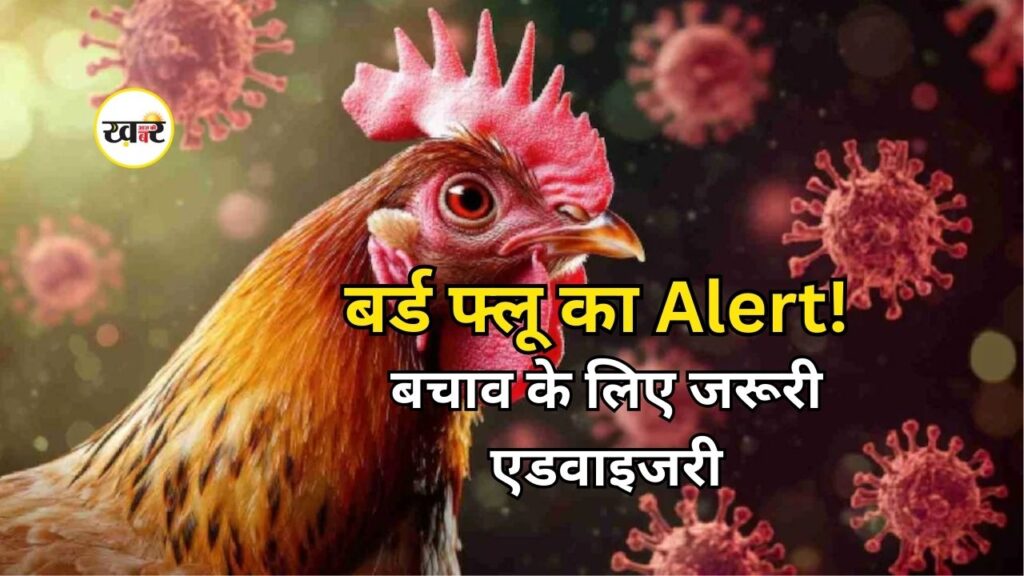 पशुपालन विभाग ने बचाव के लिए एडवाइजरी