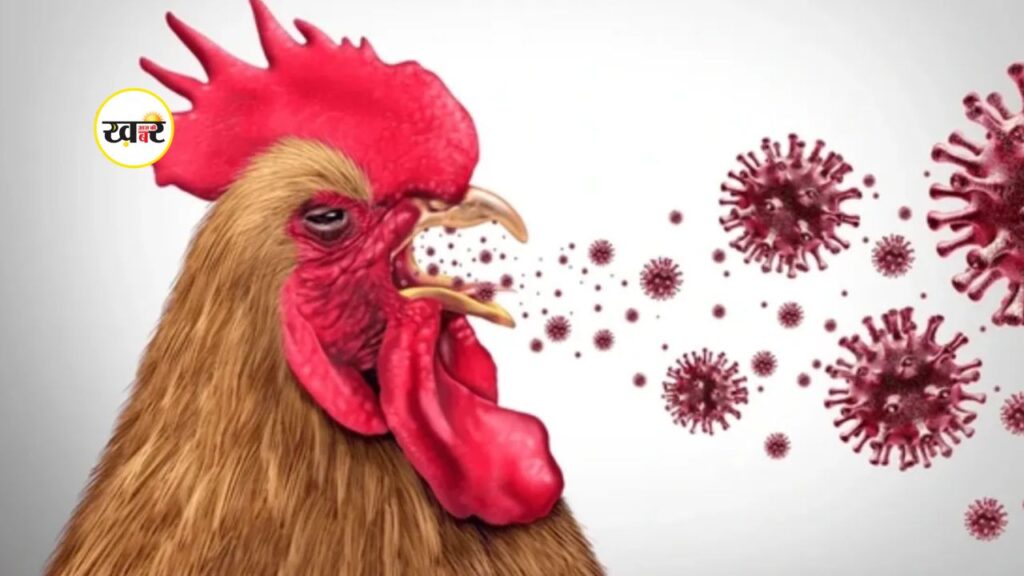 बिहार में बर्ड फ्लू का अलर्ट