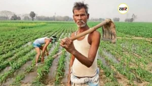 बाप-दादा के नाम जमीन तो अटकी सकती है PM Kisan की किस्त