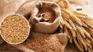 7 फरवरी से पंजीयन शुरू