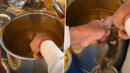 Street Food Hygiene Shock: गोलगप्पे के पानी में मिला जिंदा चूहा, वीडियो वायरल
