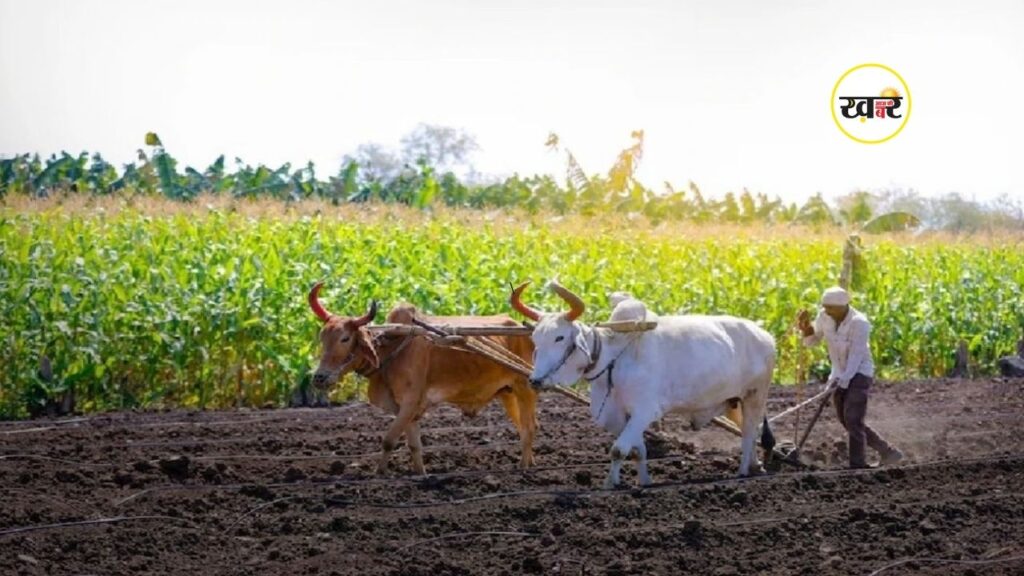 महाराष्ट्र में किसानों को बड़ी राहत