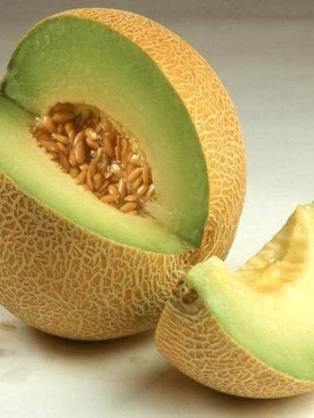 खरबूजे के बीज खाने से मिलते हैं ये जरूरी विटामिन, जानिए फायदे