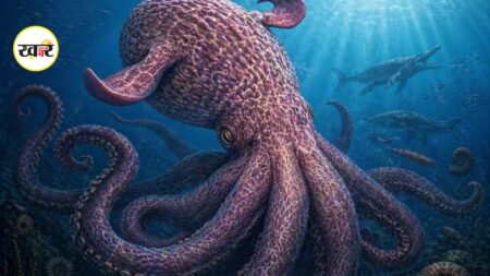 19 मीटर लंबा ऑक्टोपस