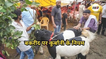 Bakrid 2026: बकरीद पर कुर्बानी के नियमों को लेकर बढ़ी बहस, जान लीजिए इस्लाम क्या कहता है? Bakrid 2026: बकरीद पर कुर्बानी के नियमों को लेकर बढ़ी बहस
