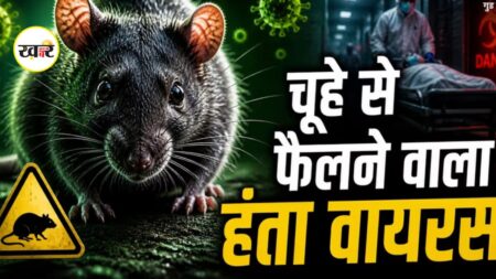 HantaVirus